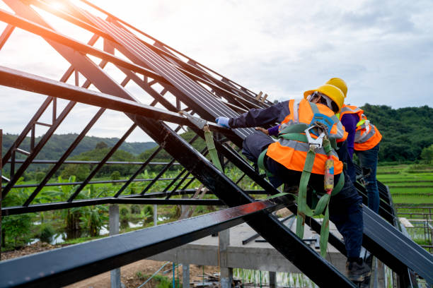 Best Storm Damage Roof Repair  in Yaeyville, NC